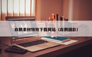 遂宁白鹅素材特效下载网站（白鹅摄影）